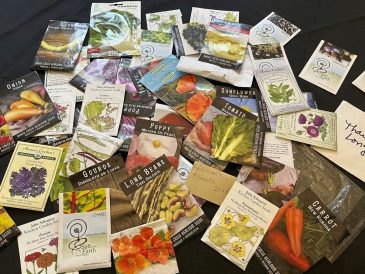 article image - Gardening – Seeds